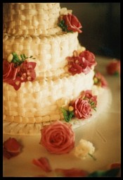 Etienne Photography - Cake